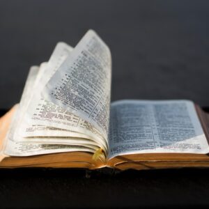 【問得好】上帝怎樣啟示人編寫聖經？（下）