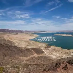 Floating Corpses on Lake Mead