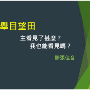 舉目望田——主看見了甚麼？我也能看見嗎？