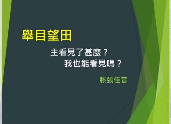 舉目望田——主看見了甚麼?我也能看見嗎? 舉目望田——主看見了甚麼?我也能看見嗎?