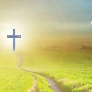 【人生天地線】長生、再生與永生