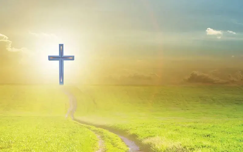 【人生天地線】長生、再生與永生