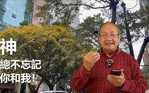 神總不忘記你和我!(華語) 神總不忘記你和我!(華語)