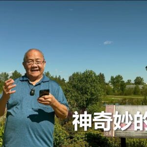 神奇妙的作為（華語／英文字幕）